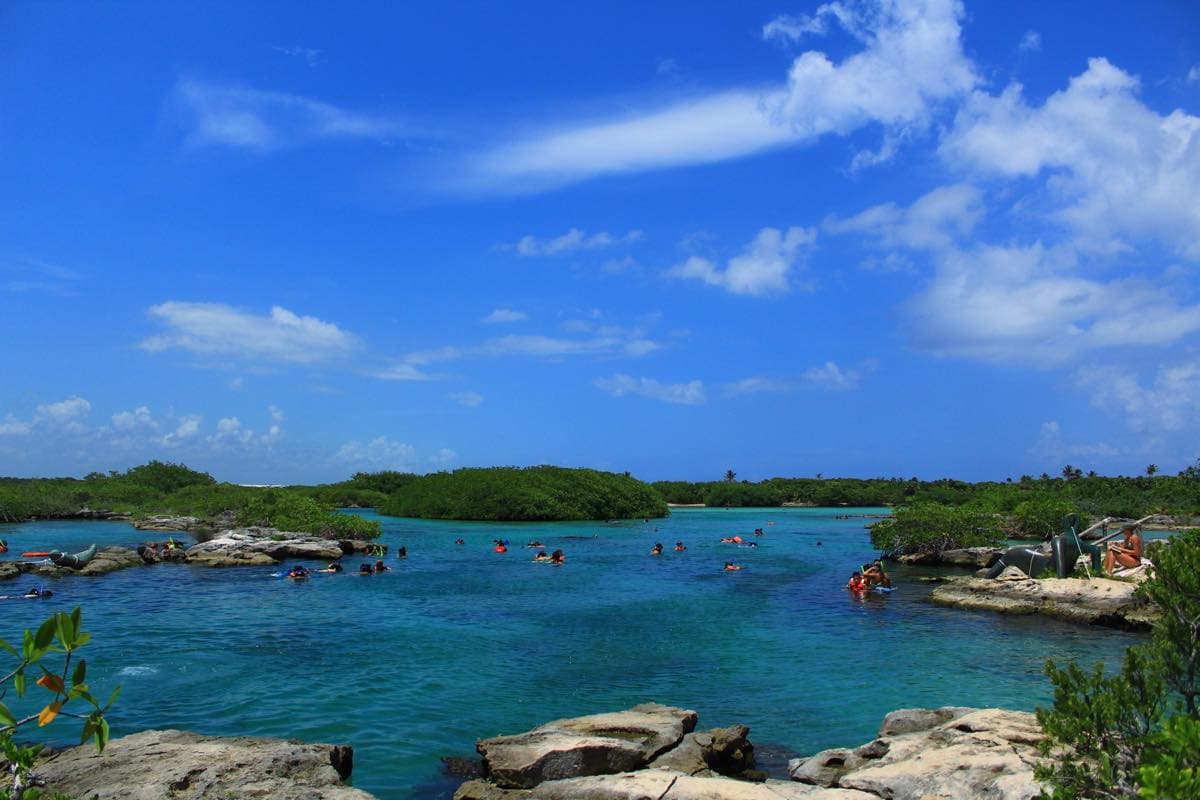 Panorámica de la caleta de Yalkú con una veintena de personas haciendo snorkel, rodeada de manglar y rocas planas.