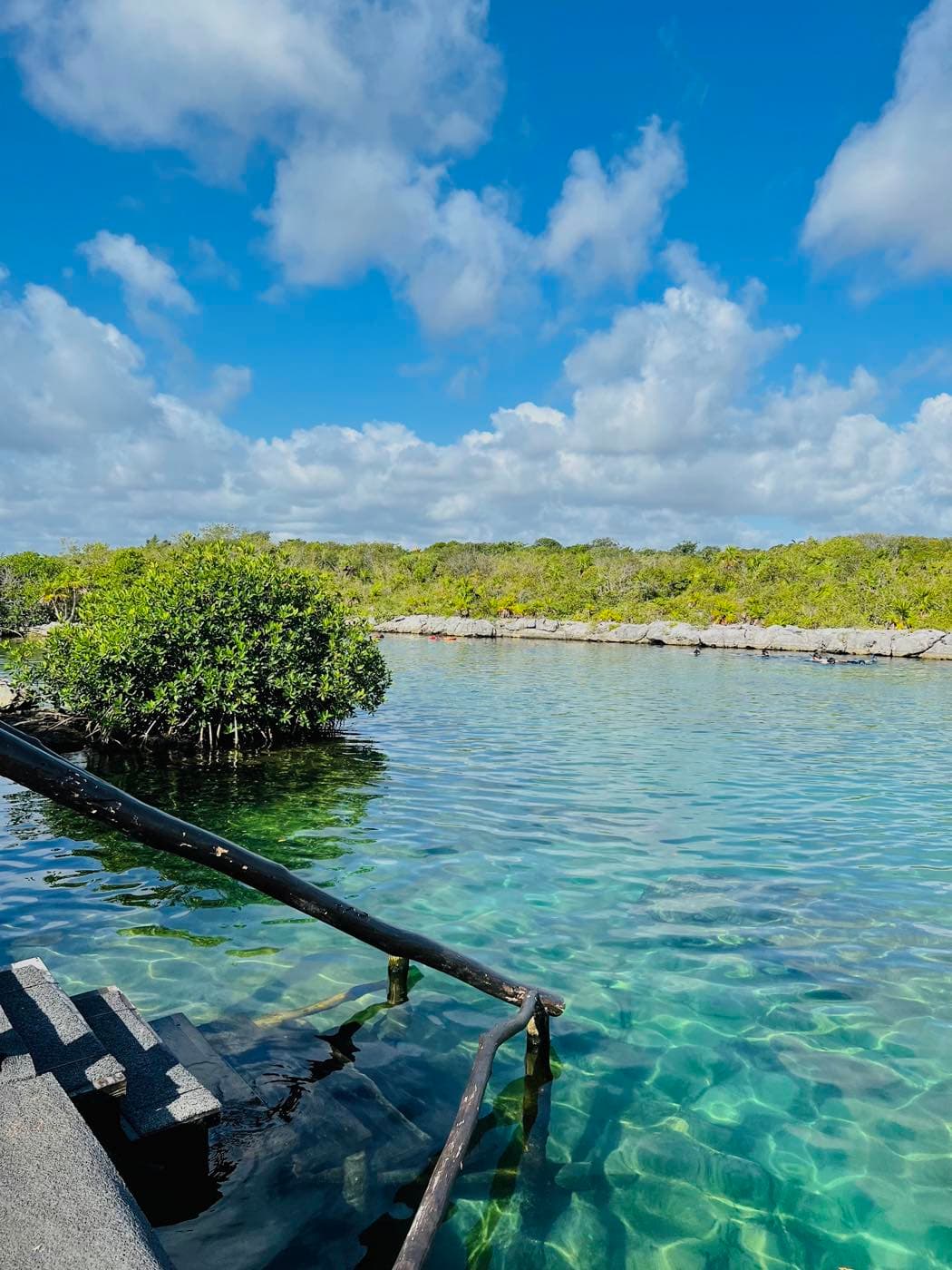 La laguna vista desde el muelle, con manglar a los lados